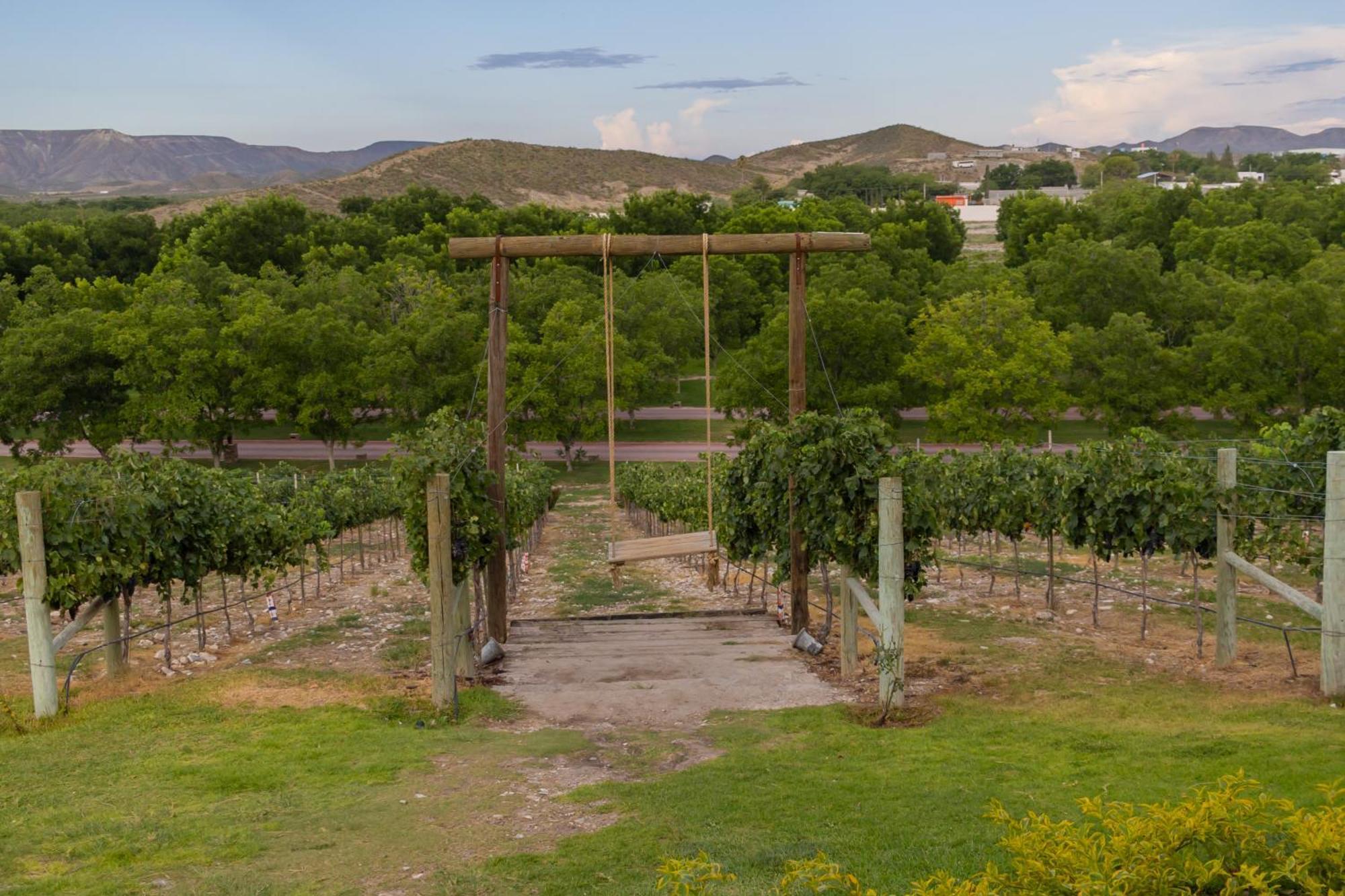 Hotel Vinicola Parvada By Lumina Parras de la Fuente Luaran gambar