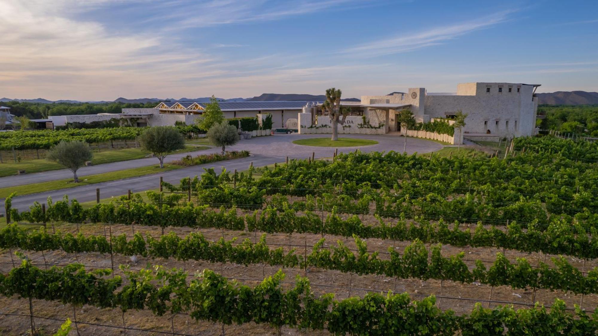 Hotel Vinicola Parvada By Lumina Parras de la Fuente Luaran gambar